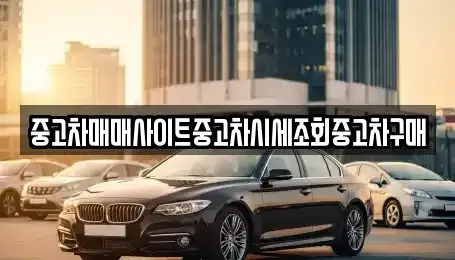 인천 서구 검암동 중고차 전문 중고차매매사이트중고차시세조회중고차구매