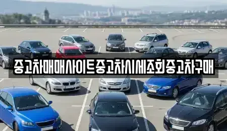 인천 중구 경동 중고차 전문 중고차매매사이트중고차시세조회중고차구매