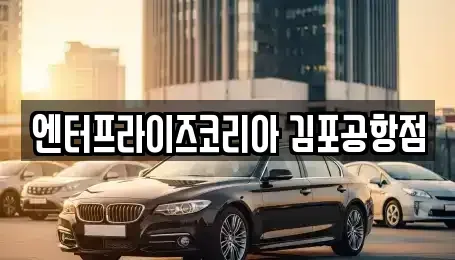 인천광역시 계양구 하야동 렌트카 전문 엔터프라이즈코리아 김포공항점