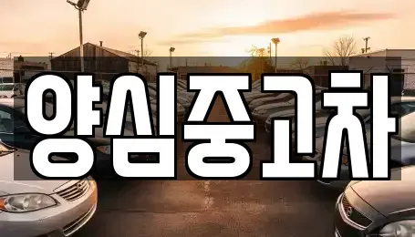 인천광역시 계양구 하야동 중고차 전문 양심중고차