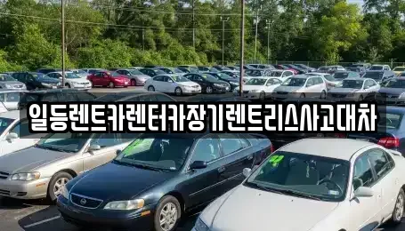인천광역시 남동구 간석동 장기렌트카 전문 일등렌트카렌터카장기렌트리스사고대차