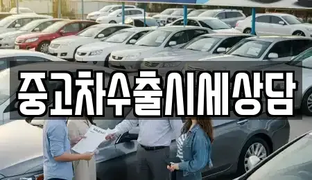 인천광역시 옹진군 북도면 중고차 전문 중고차수출시세상담