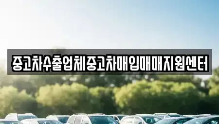 전남 나주시 중앙동 중고차매매 전문 중고차수출업체중고차매입매매지원센터