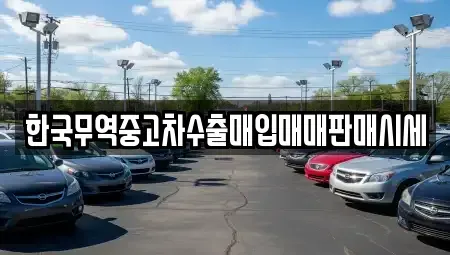전남 나주시 진포동 중고차,렌트카,중고차매입,중고차매매,장기렌트카,단기렌트카