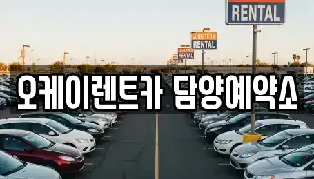 전남 담양군 담양읍 렌트카 전문 오케이렌트카 담양예약소