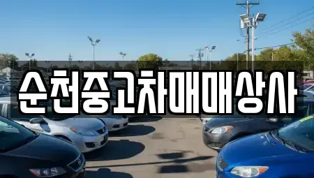 전남 담양군 담양읍 중고차매매 전문 순천중고차매매상사
