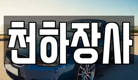전남 담양군 담양읍 중고차매매 전문 천하장사