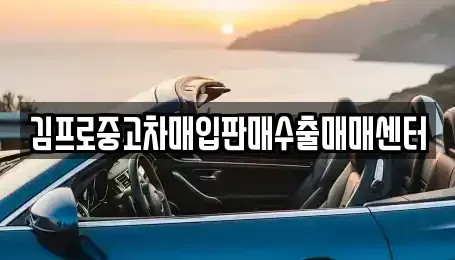 전남 목포시 복만동 중고차매입 전문 김프로중고차매입판매수출매매센터