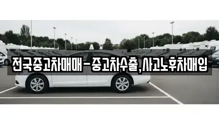 전남 목포시 온금동 중고차 전문 전국중고차매매-중고차수출,사고노후차매입