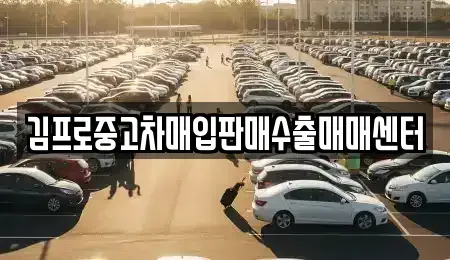 전남 목포시 온금동 중고차매입 전문 김프로중고차매입판매수출매매센터