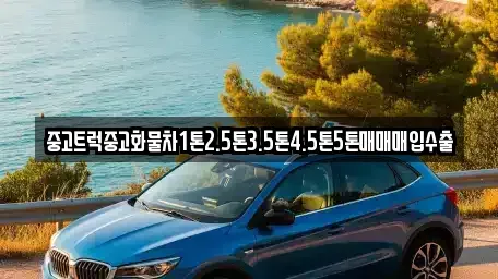 전남 목포시 온금동 중고차매입 전문 중고트럭중고화물차1톤2.5톤3.5톤4.5톤5톤매매매입수출