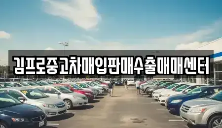 전남 목포시 행복동2가 중고차매입 전문 김프로중고차매입판매수출매매센터
