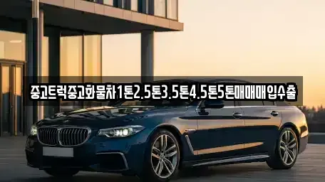 전남 목포시 행복동2가 중고차매입 전문 중고트럭중고화물차1톤2.5톤3.5톤4.5톤5톤매매매입수출