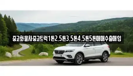 전남 무안군 망운면 렌트카,단기렌트카,장기렌트카,중고차,중고차매매,중고차매입