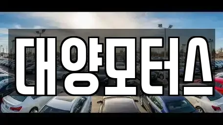 전남 순천시 매곡동 중고차매매 전문 대양모터스