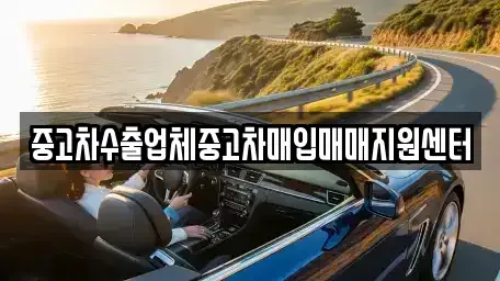 전남 순천시 매곡동 중고차매입 전문 중고차수출업체중고차매입매매지원센터