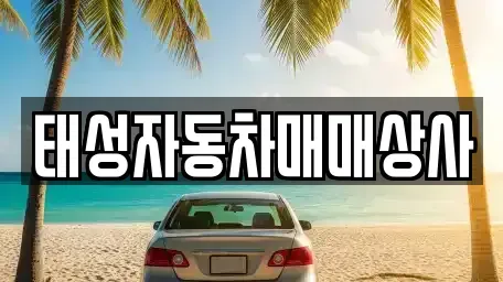전남 순천시 장천동 중고차 전문 태성자동차매매상사