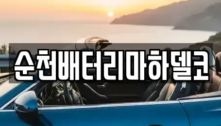 전남 순천시 해룡면 중고차 전문 순천배터리마하델코