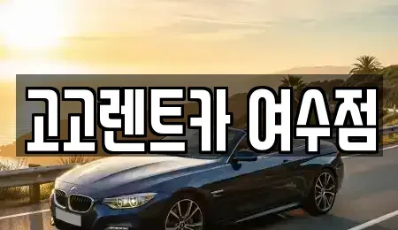 전남 여수시 군자동 렌트카 전문 고고렌트카 여수점