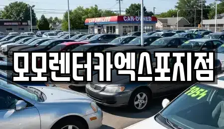 전남 여수시 군자동 렌트카 전문 모모렌터카엑스포지점