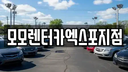 전남 여수시 군자동 렌트카 전문 모모렌터카엑스포지점