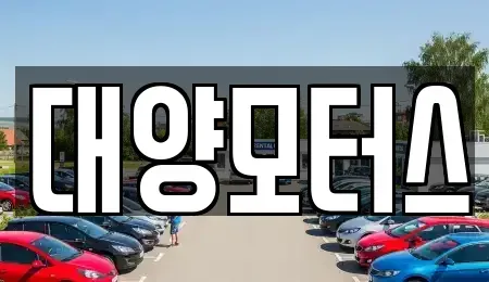 전남 장흥군 용산면 중고차매매 전문 대양모터스