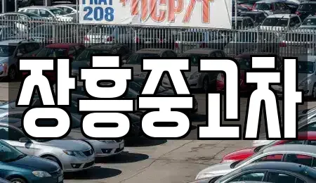 전남 장흥군 용산면 중고차매매 전문 장흥중고차