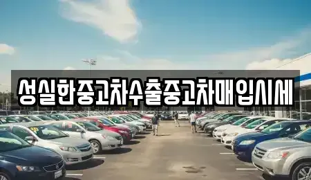 전남 화순군 한천면 중고차매입 전문 성실한중고차수출중고차매입시세