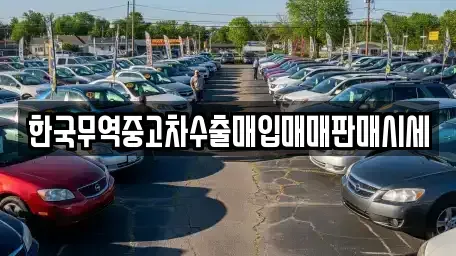 전라남도 강진군 성전면 중고차 전문 한국무역중고차수출매입매매판매시세