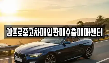 전라남도 강진군 성전면 중고차매입 전문 김프로중고차매입판매수출매매센터