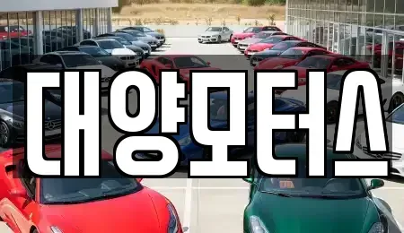 전라남도 고흥군 금산면 중고차매매 전문 대양모터스
