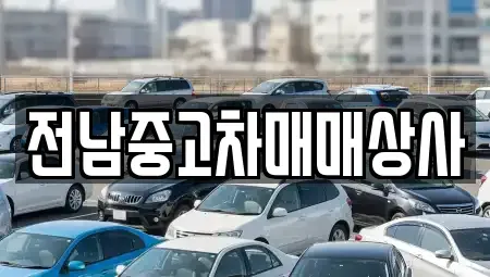 전라남도 고흥군 동강면 중고차,렌트카,중고차매입,중고차매매,장기렌트카,단기렌트카