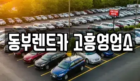 전라남도 고흥군 렌트카 전문 동부렌트카 고흥영업소