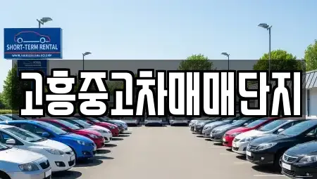 전라남도 고흥군 중고차매매 전문 고흥중고차매매단지