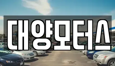 전라남도 구례군 토지면 중고차 전문 대양모터스