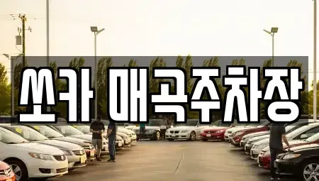 전라남도 순천시 옥천동 렌트카 전문 쏘카 매곡주차장