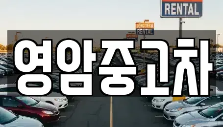 전라남도 영암군 중고차매매 전문 영암중고차