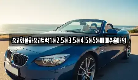 전라남도 영암군 중고차매입 전문 중고화물차중고트럭1톤2.5톤3.5톤4.5톤5톤매매수출매입