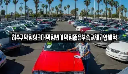 전라남도 장성군 삼서면 중고차매입 전문 하수구막힘싱크대막힘변기막힘뚫음부속교체고압세척