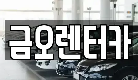 전라남도 장성군 장성읍 장기렌트카,중고차,렌트카,단기렌트카,중고차매입,중고차매매