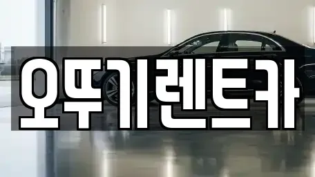 전라남도 장성군 장성읍 장기렌트카 전문 오뚜기렌트카