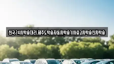 전라남도 함평군 나산면 중고차 전문 전국24시탁송대리.제주도탁송자동차탁송기사중고차탁송신차탁송