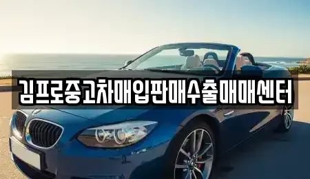 전북 남원시 천거동 중고차매입 전문 김프로중고차매입판매수출매매센터