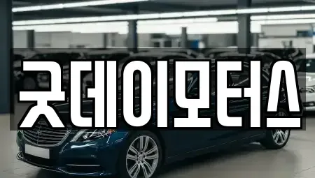 전북 전주시 덕진구 원동 중고차 전문 굿데이모터스
