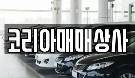 전북 전주시 덕진구 원동 중고차 전문 코리아매매상사