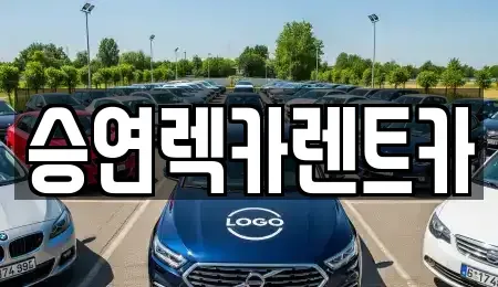 전북 전주시 덕진구 장동 렌트카 전문 승연렉카렌트카