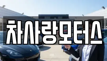 전북 전주시 덕진구 장동 중고차 전문 차사랑모터스