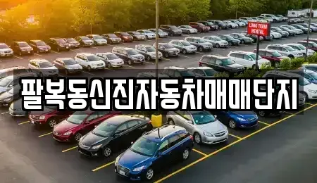 전북 전주시 덕진구 팔복동4가 중고차매매 전문 팔복동신진자동차매매단지