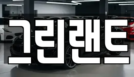 전북 전주시 완산구 석구동 렌트카 전문 그린랜트