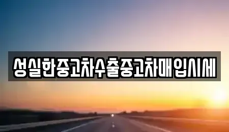 전북 전주시 완산구 중앙동4가 중고차 전문 성실한중고차수출중고차매입시세